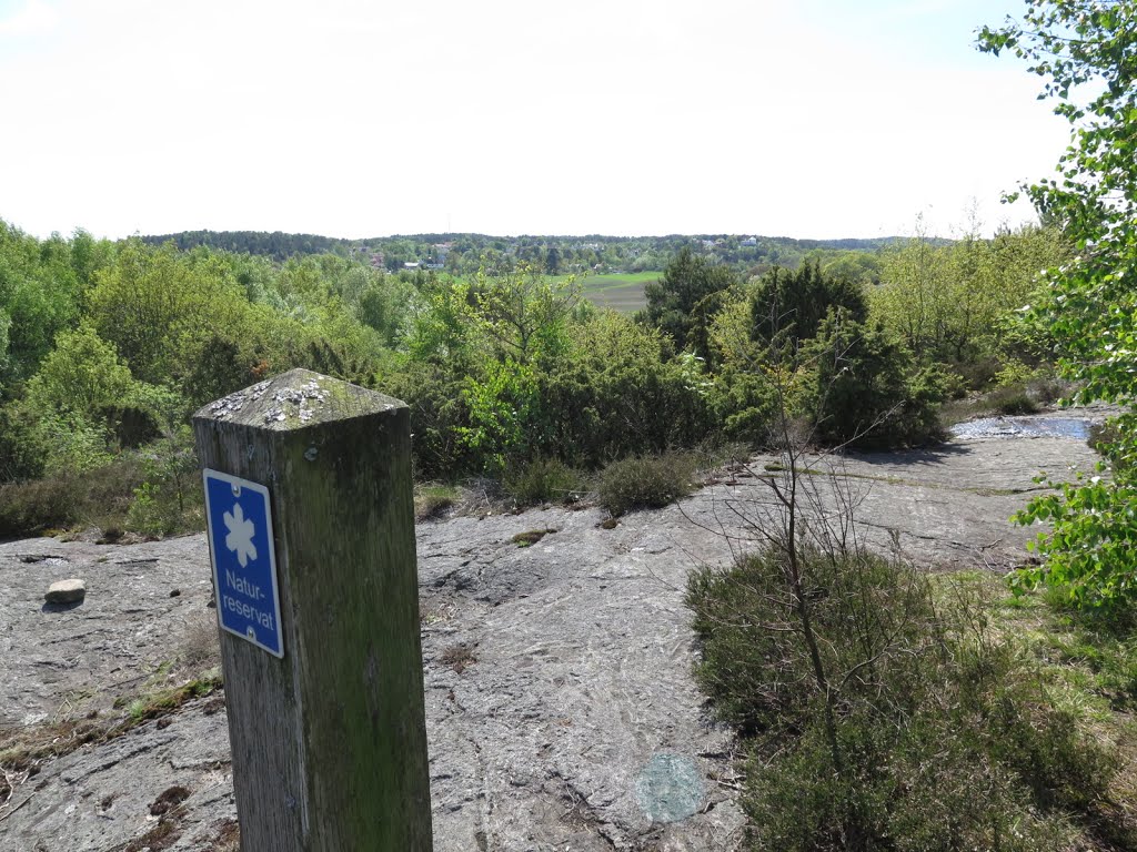 Östra stigen i Bronsålderssundet 2014 by biketommy999