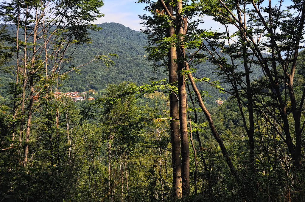 Pogled na Cepletischis in desnoPolava by Valter Erzetič New