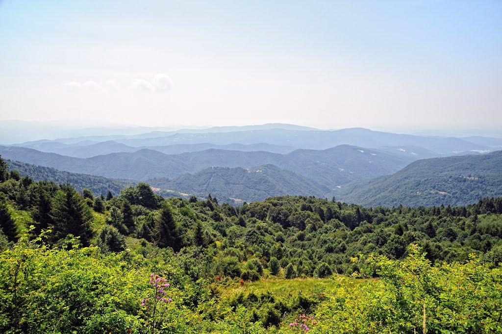 Pogled z Matajurja by Valter Erzetič New