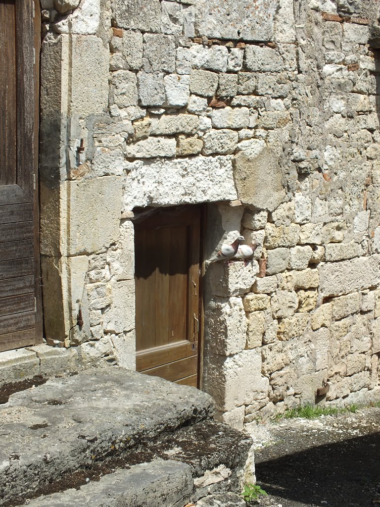 Vieille demeure à Montdoumerc (bourg) by Yann LESELLIER