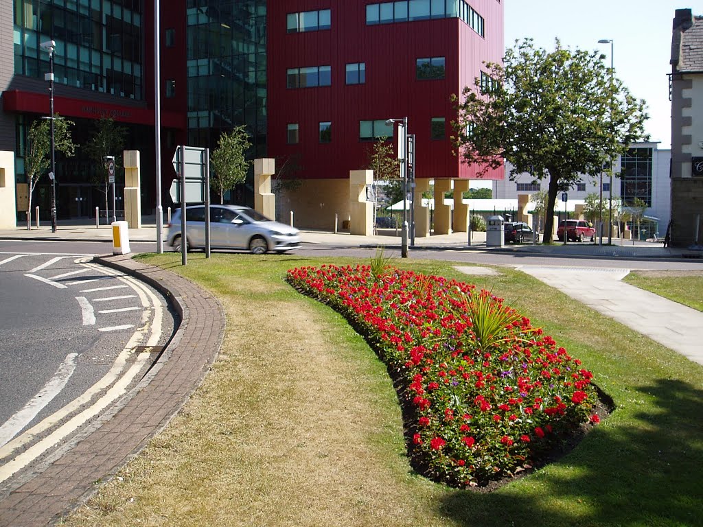 Floral Bedding Displays Barnsley College by mel54