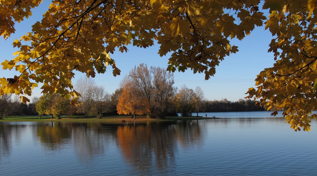 Feringasee im Herbst by H Neocc