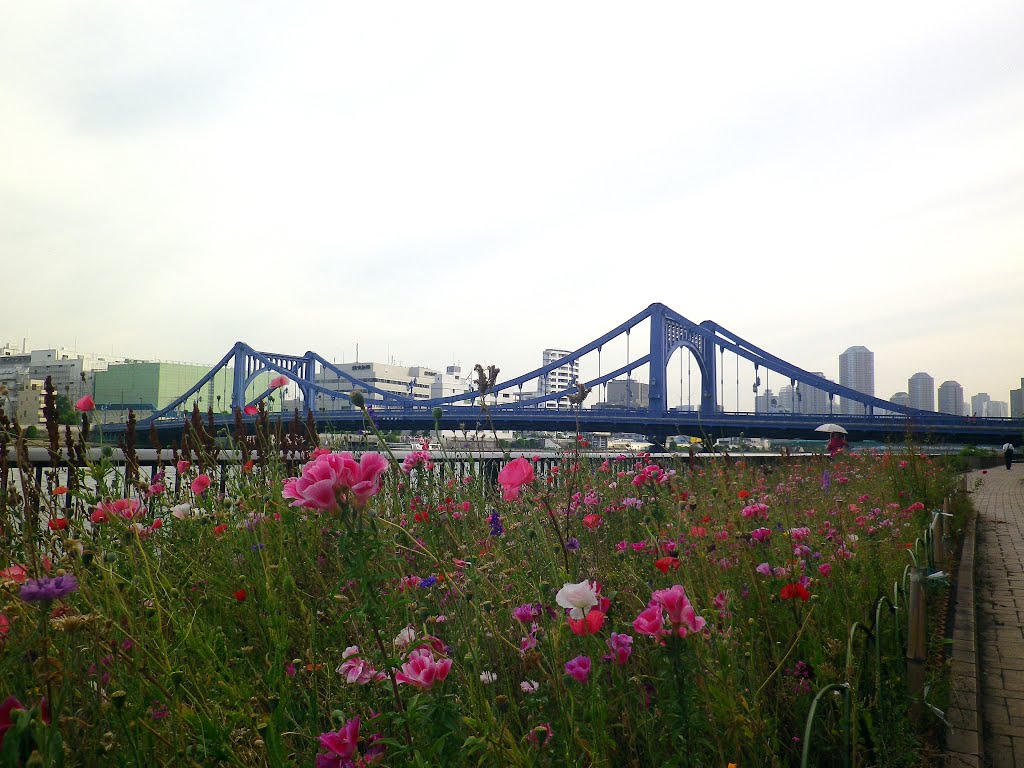 Bridge on Sumida river, Tokyo, Japan by Giembe