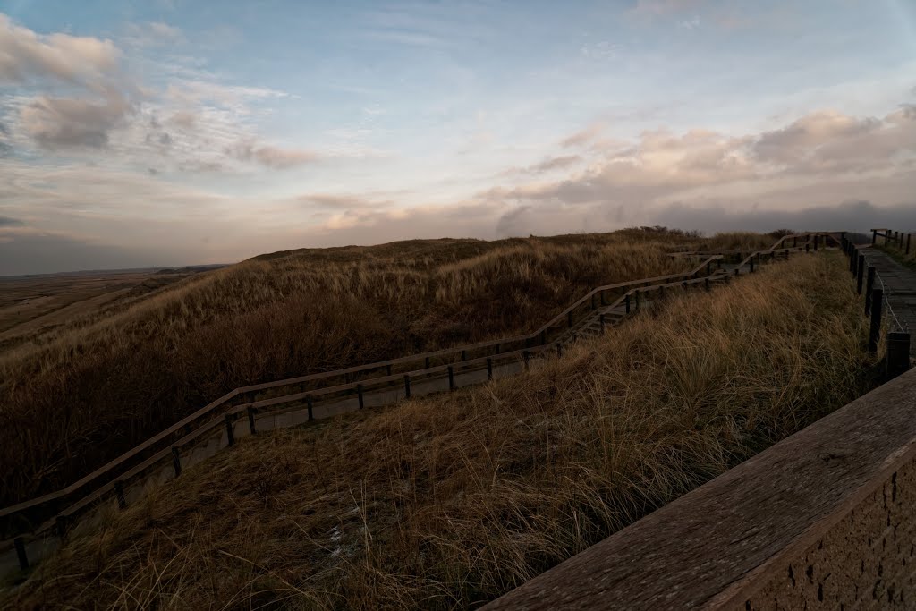 Texel - De Slufter - January 2015 - View East by txllxt TxllxT