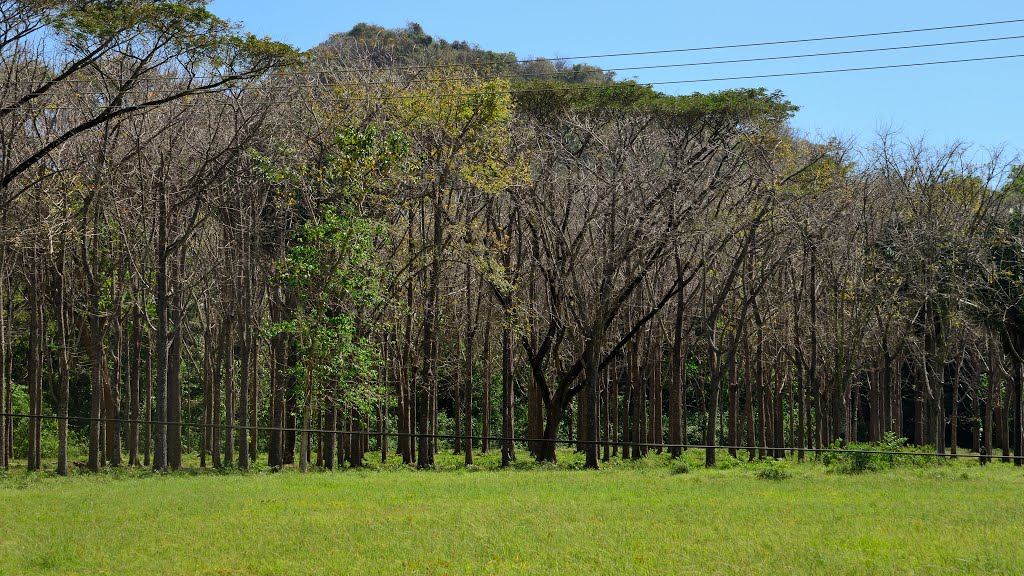 Guanacaste Province, Costa Rica by latforum