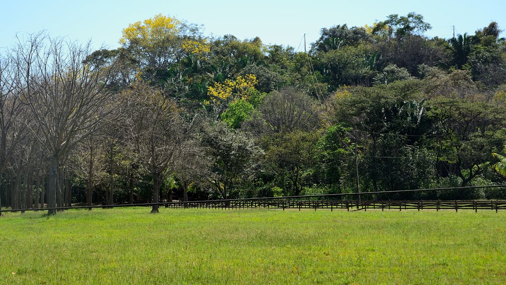 Guanacaste Province, Costa Rica by latforum