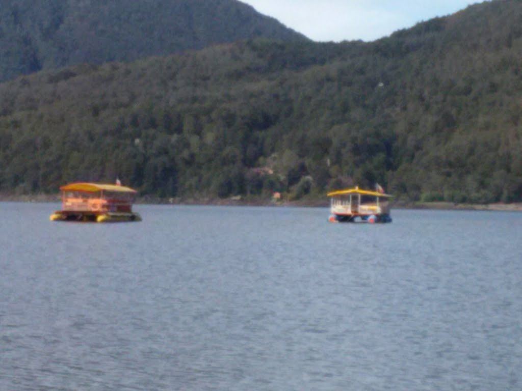 Paseos en el lago Caburga! by Elias Arancibia