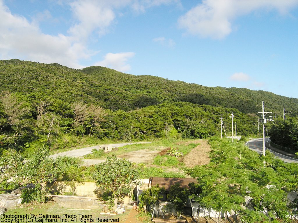 Forest Station, Okinawa by gpt