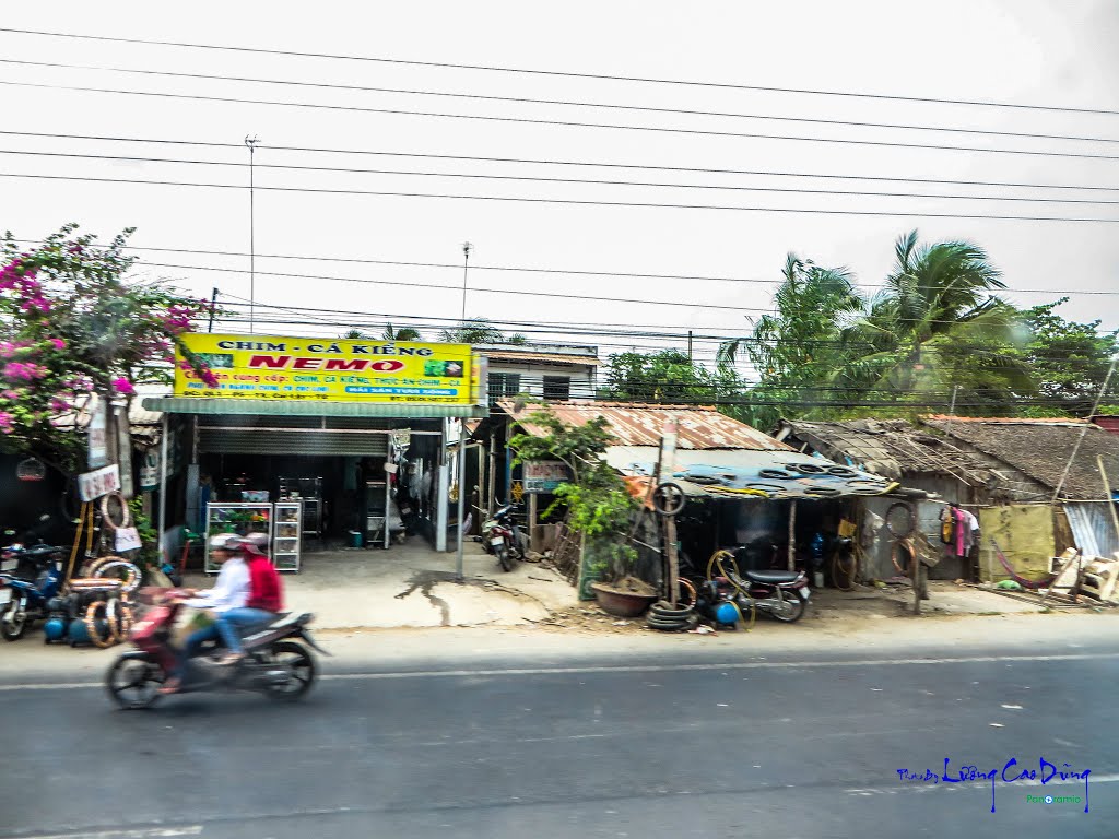 Nhị Mỹ, Cai Lậy, Tiền Giang, Vietnam by Lương Cao Dũng