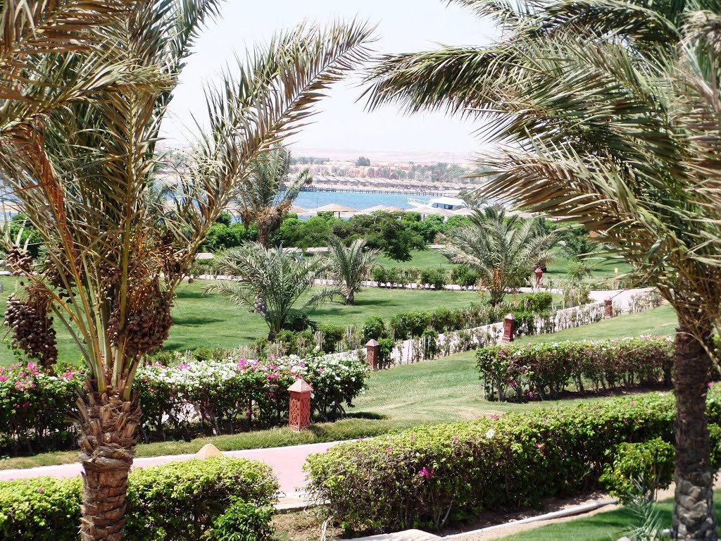 2015-7fort arabesque hotel. makady bay.red sea.egypt by nagy selim