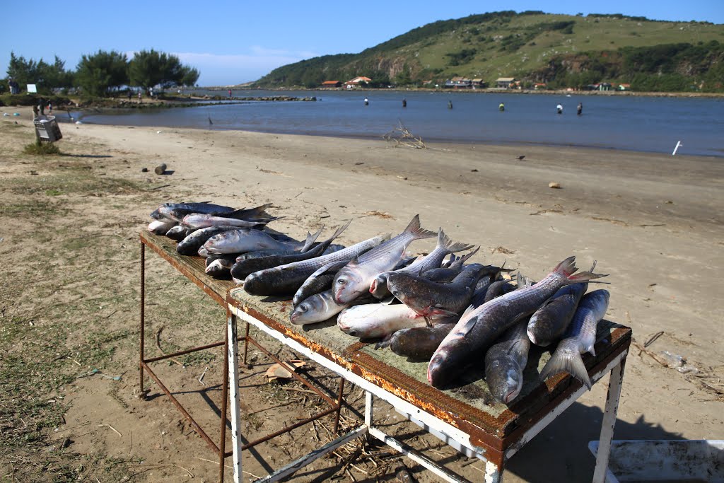 Laguna - State of Santa Catarina, Brazil by meirelesevandro