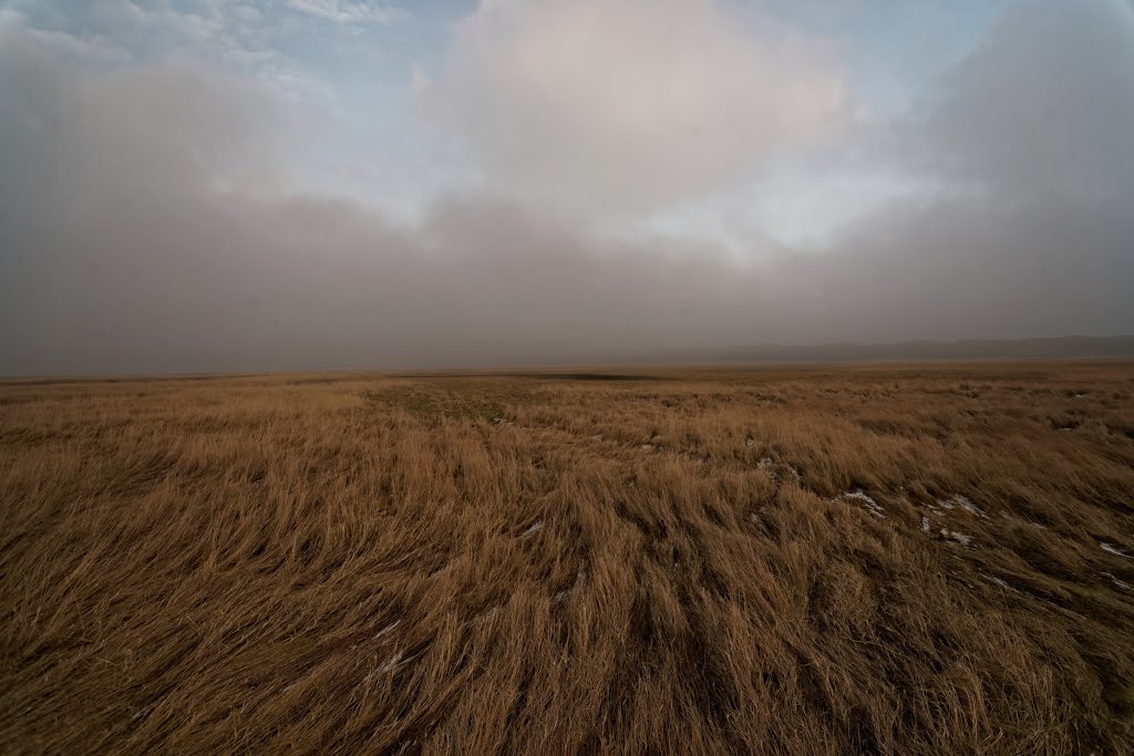 Texel - De Slufter - January 2015 - View ENE by txllxt TxllxT