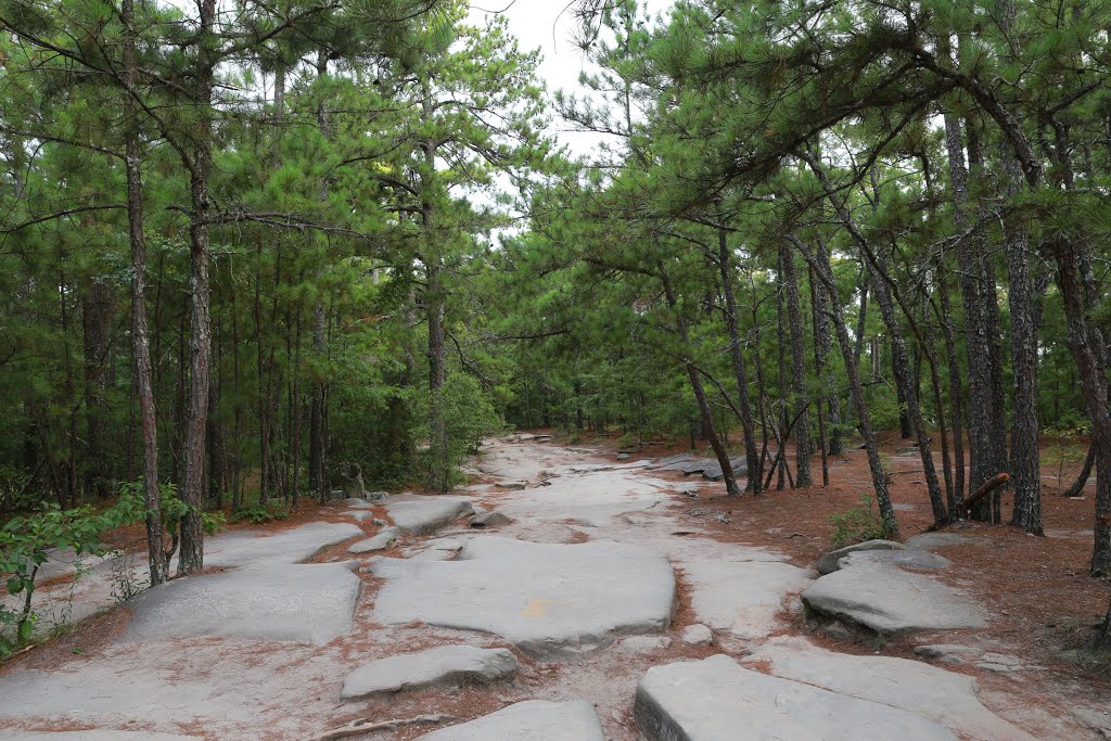 Stone Mountain Park Walk-Up Trail by bryanf