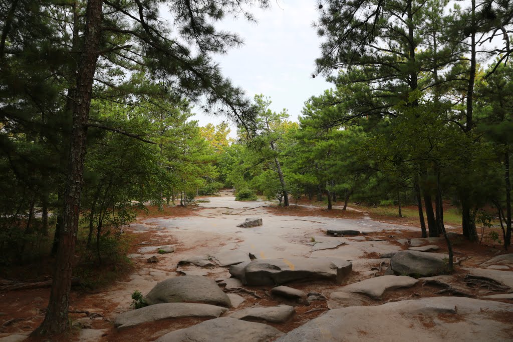 Stone Mountain Park Walk-Up Trail by bryanf