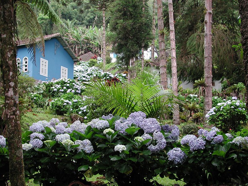 Itatiaia Parque Nacional by BrazPress