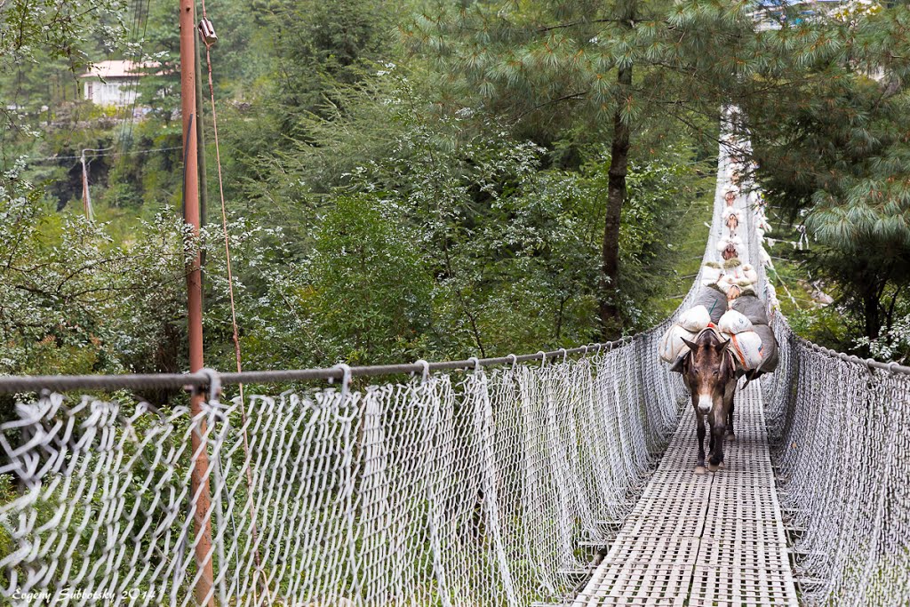 EBC trek, on our way to Namche Bazar. by Evgeny Subbotsky