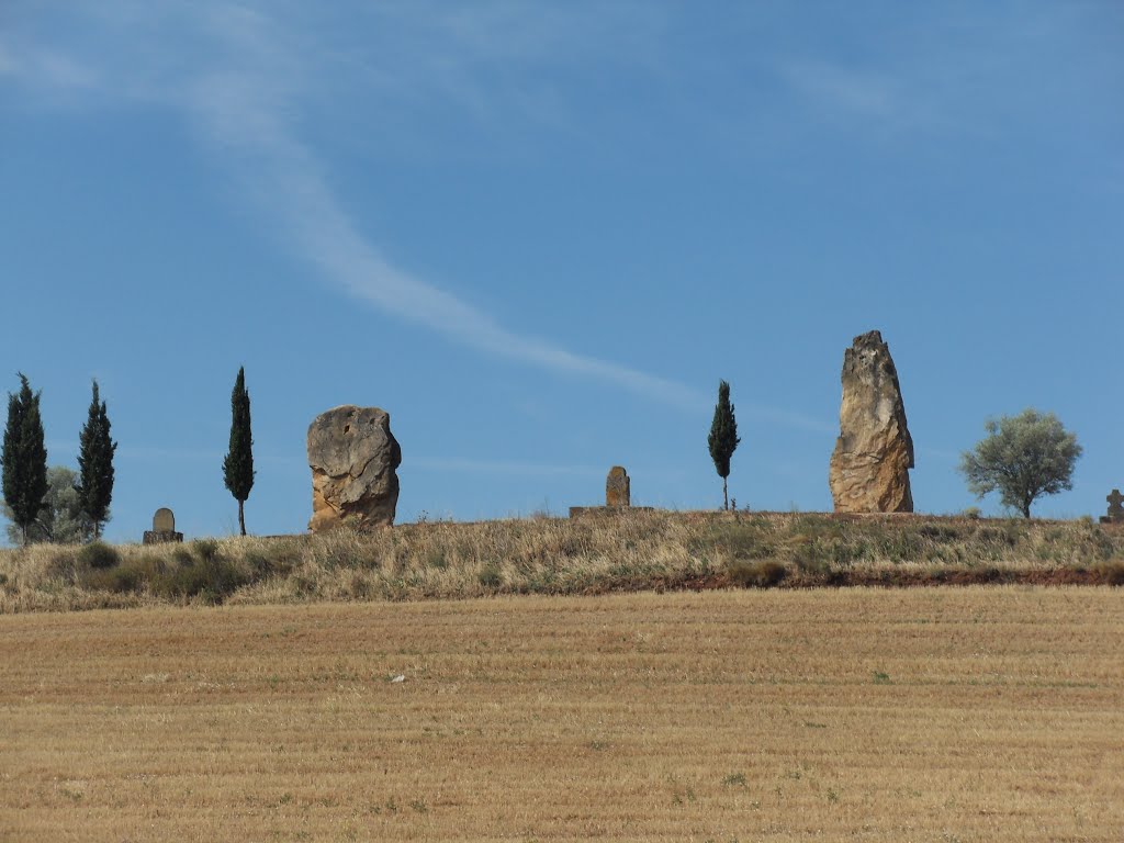 CAMINO FRANCES-2015-ELLOS NOS VIGILAN-CIRAUQUI by solagarm