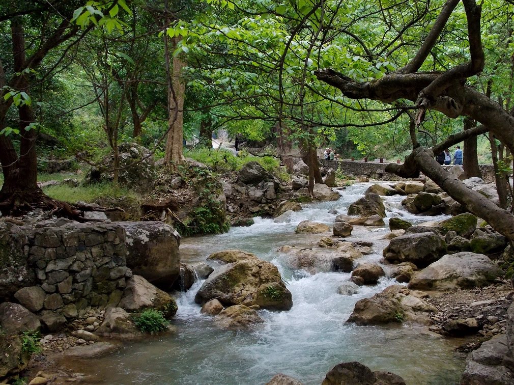 RUMBO A LA CASCADA COLA DE CABALLO EN SANTIAGO, NUEVO LEÓN, MZO 2015 by Sergio Arce