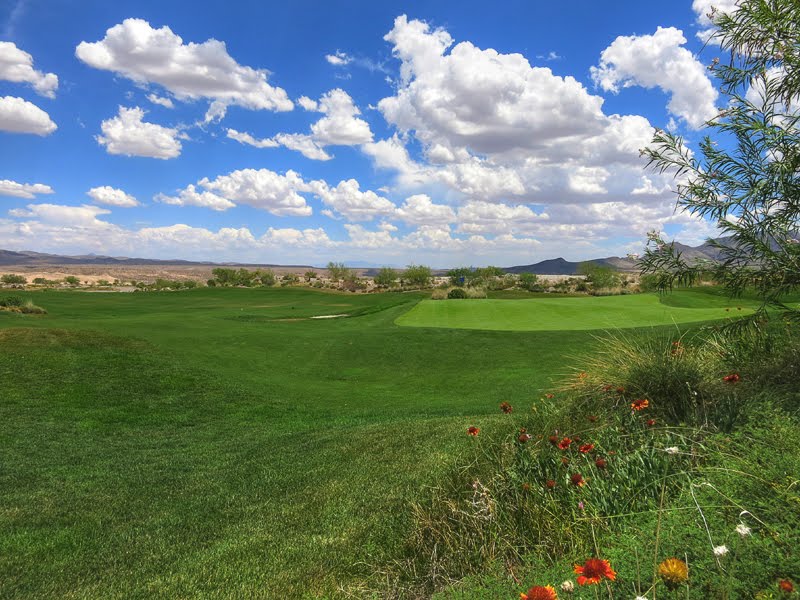 Coyote Springs #10 by Shawn Baugh