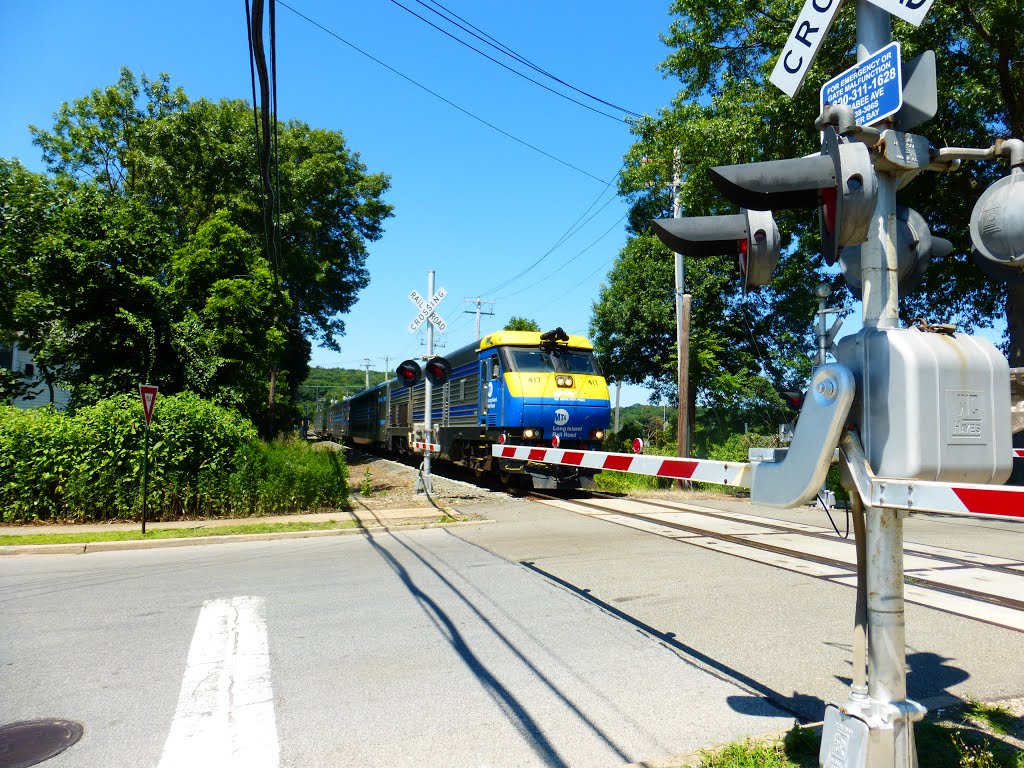 DE30AC on the Crossing by Joe Stroppel