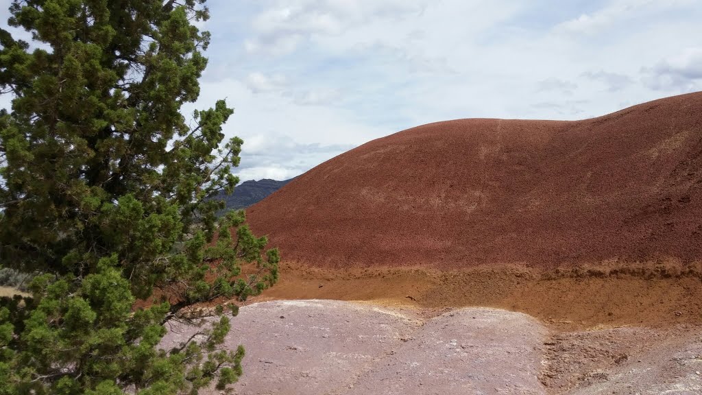 Painted Hills by matthew mangus