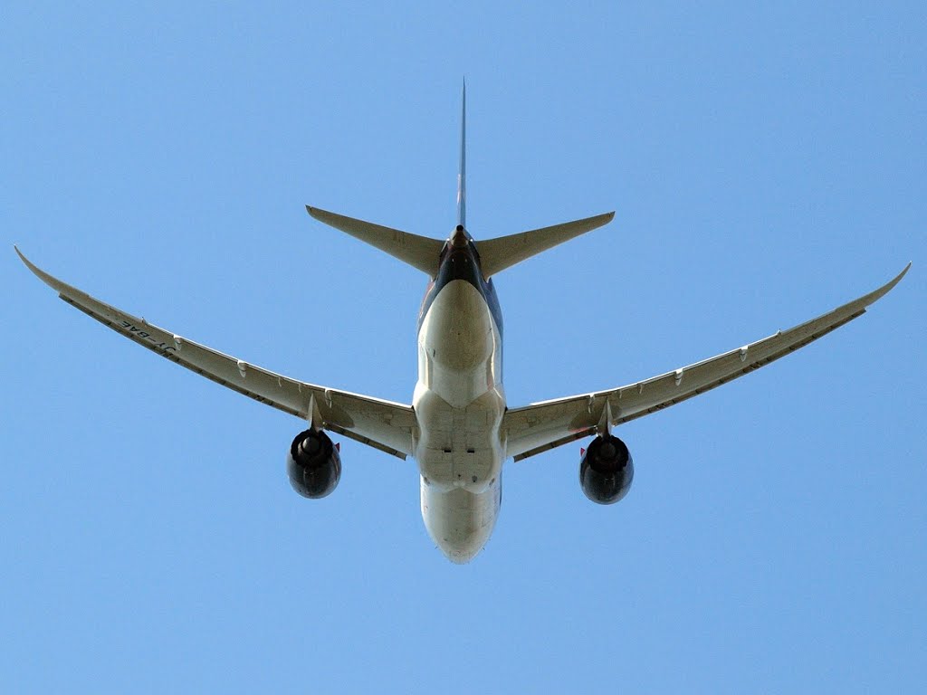 Departure of Royal Jordanian B787-800 on it's way to Amman by Jiaqian AirplaneFan