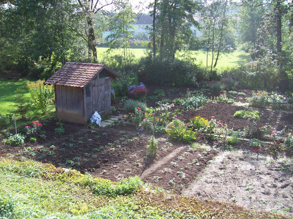 Garten an der Gollach 2 by physalis alkekengi