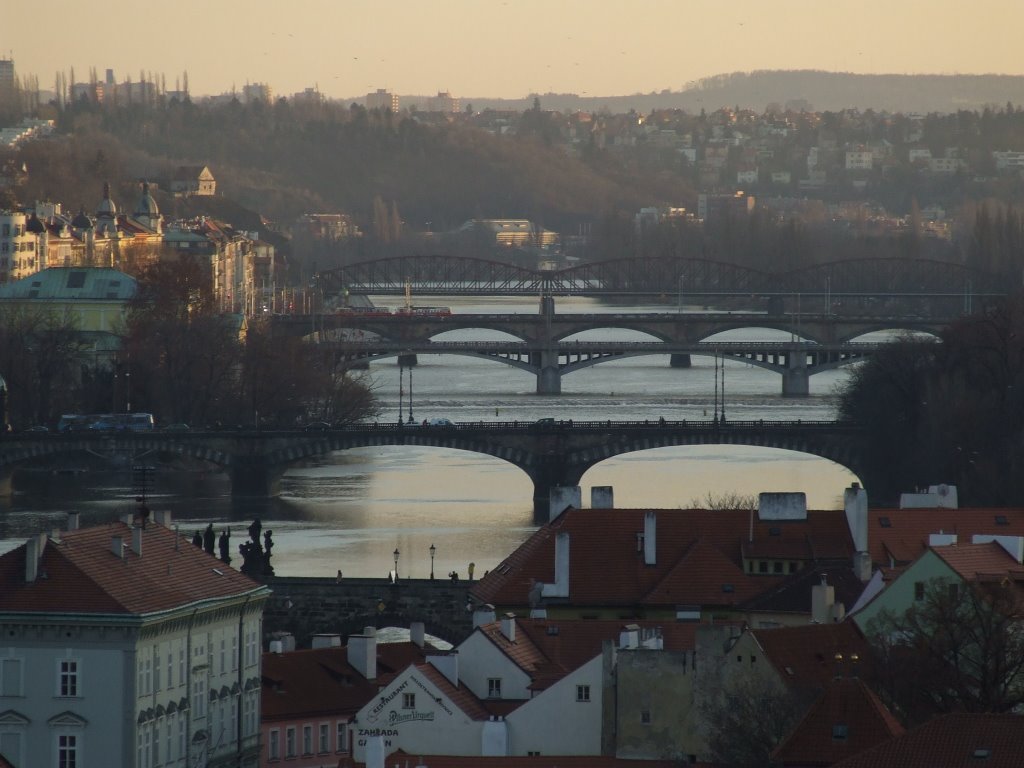 Bridges by Valeria Şuţu