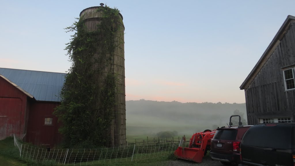 Morning at Cold Brook Farm by Joe Stroppel