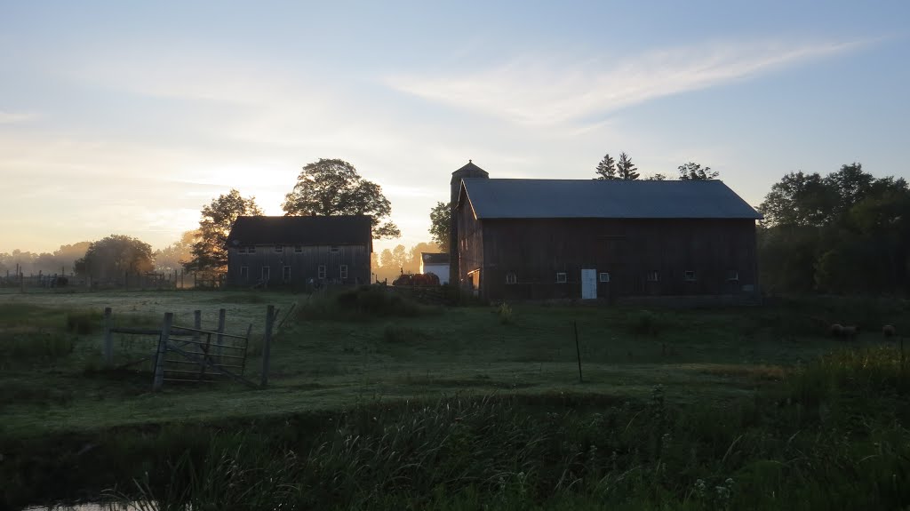 Morning at Cold Brook Farm by Joe Stroppel