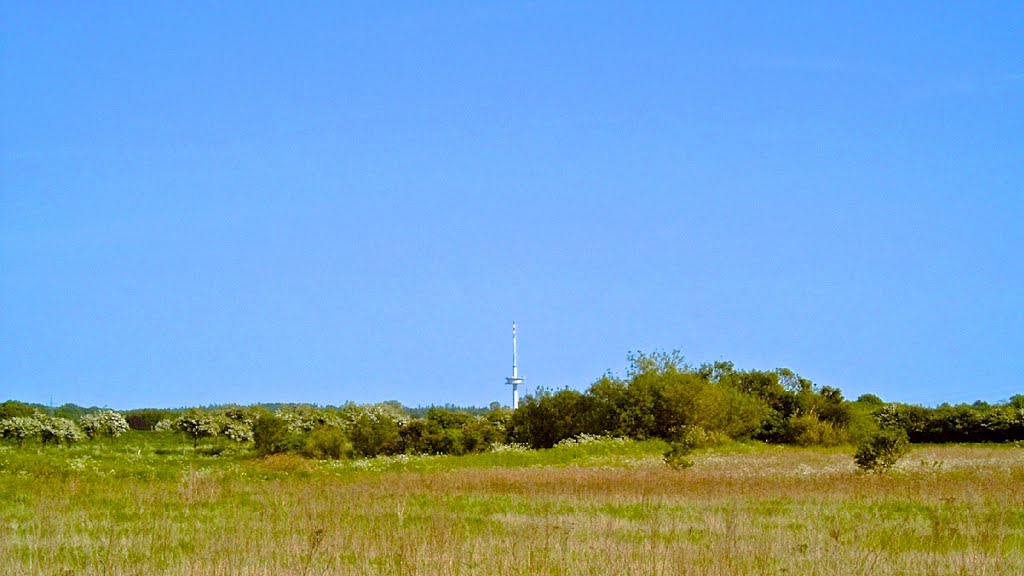 Der Fernmeldeturm Flensburg - Freienwill von Peelwatt ausgesehen. by www.fleno.de