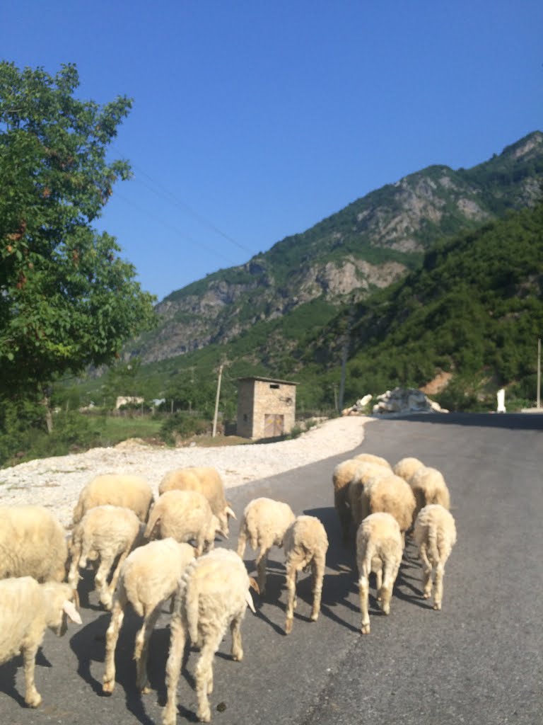 Dragobi, Albania by Rrustem Haradinaj