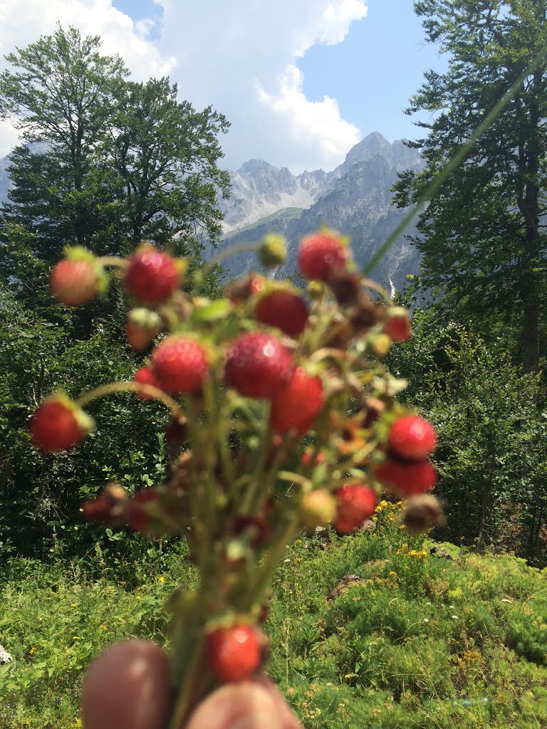 Tropojë District, Albania by Rrustem Haradinaj