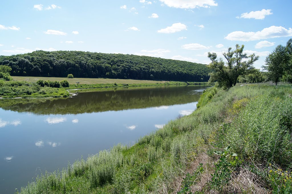 Zadonsky District, Lipetsk Oblast, Russia by Анастасия Рутковская