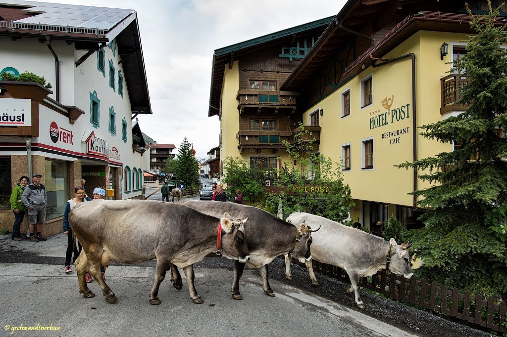 Vent im Ötztal | Tirol by gschwandtner bua