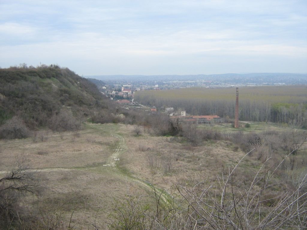 Érdi régi téglagyár a Kakukk-hegyről by V. Ádám