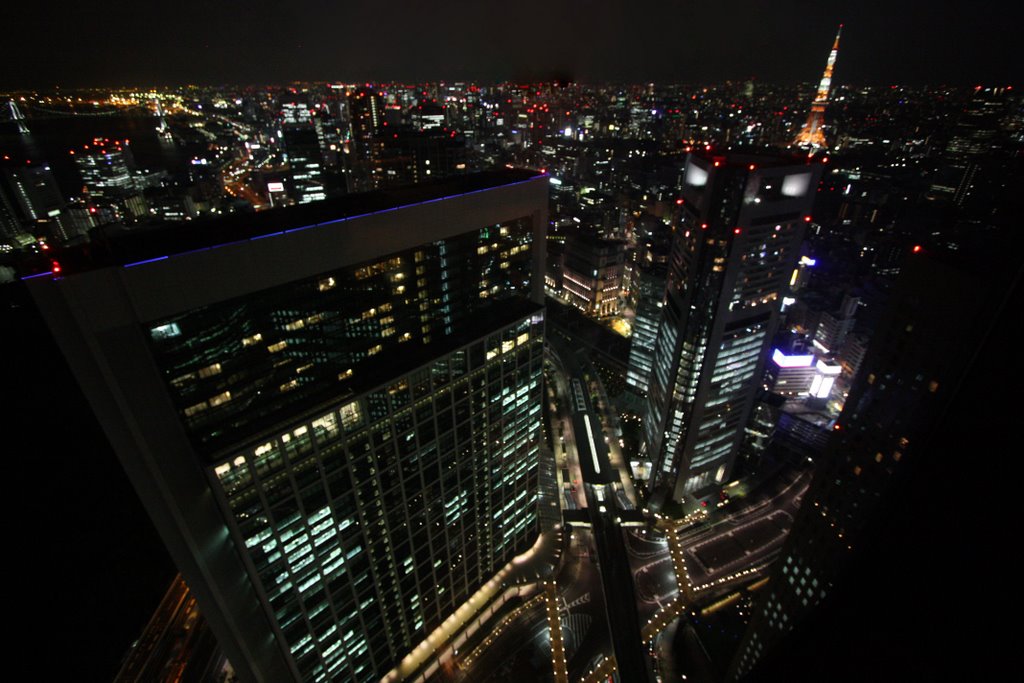 Panorama dal 47° piano del Dentsu Headquarters Building su Shiodome e Tokyo Tower by Carlo Pelagalli