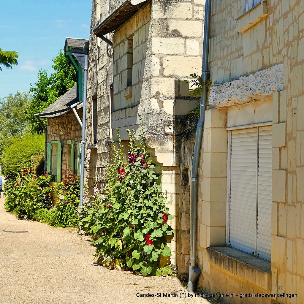 Candes-St. Martin (Fr) | www.microtoerisme.nl gratis stadswandelingen by InZicht