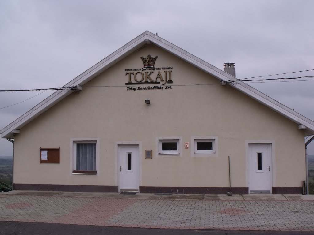 Tokaj Kereskedőház Zrt., Tolcsva, Hungary by Norbert Banhidi