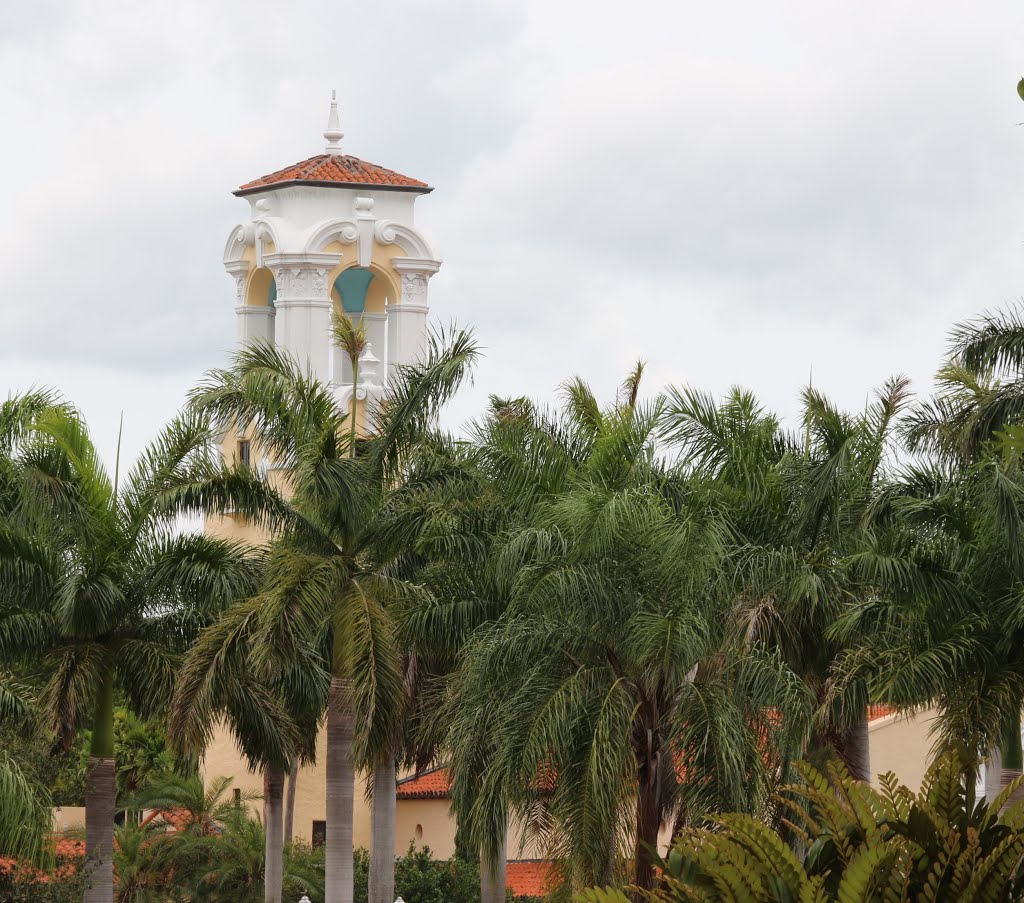 LB - Palms and tower by Luis O. Boettner