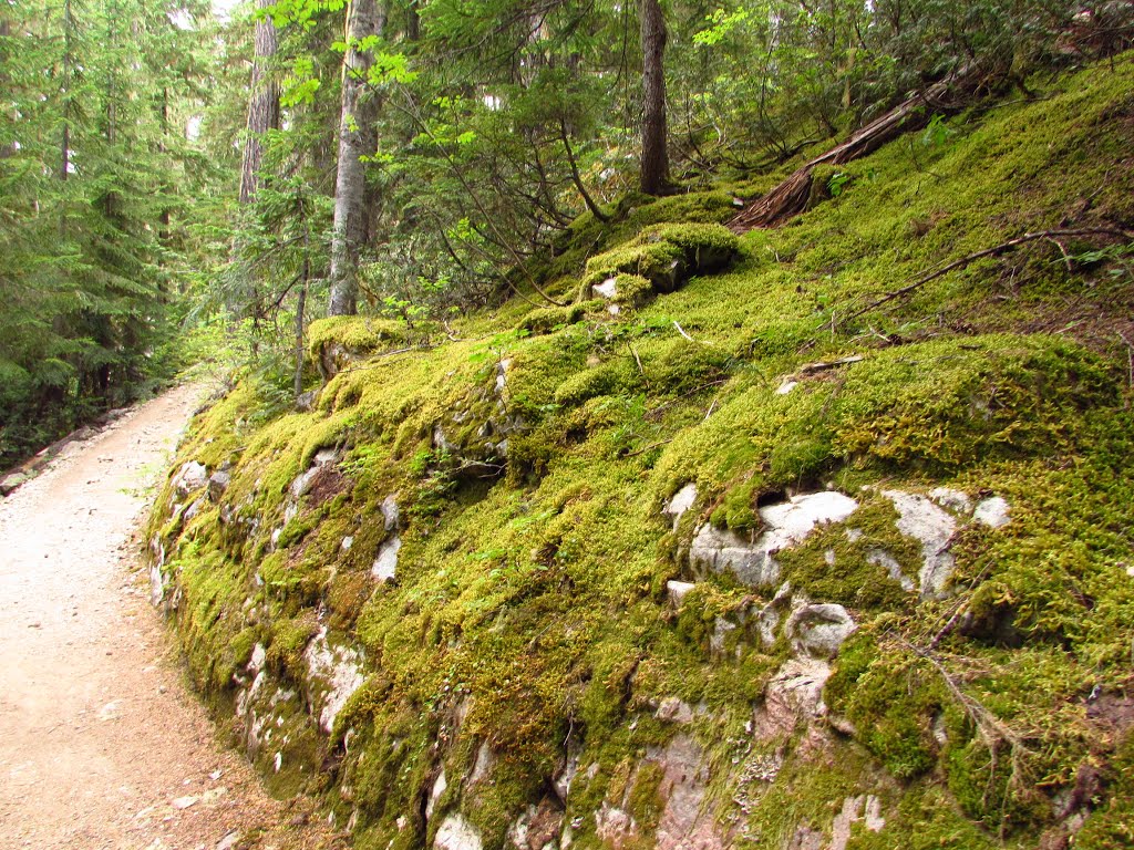 Squamish-Lillooet C, BC, Canada by Chris Sanfino