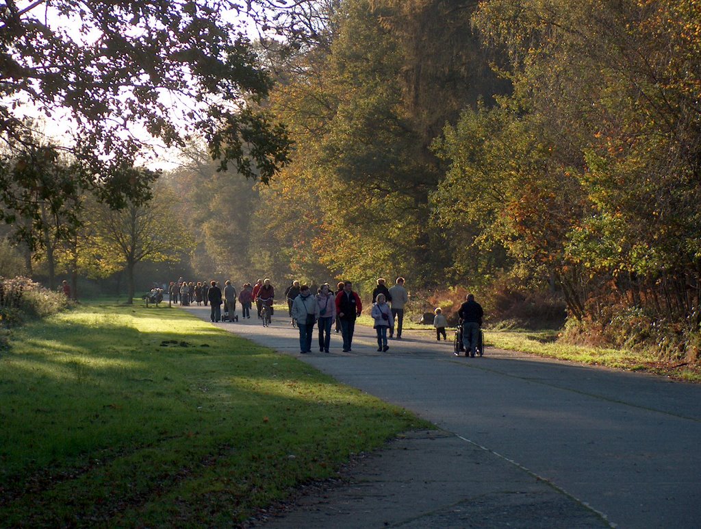 Eeklo, Het Leen, Centrale As by ivanbernaerdt