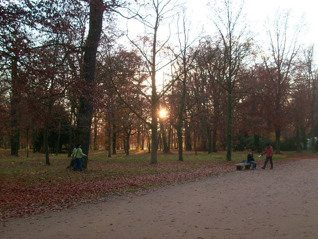 Park Sanssouci by tami1