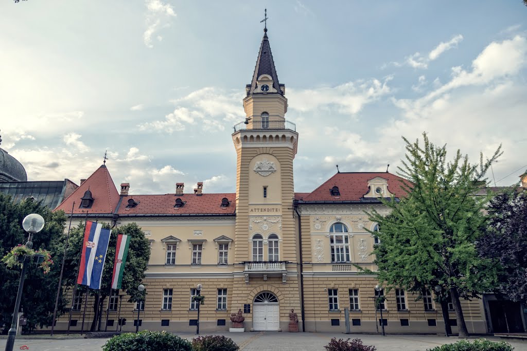 City hall by Čedomir Vujanić