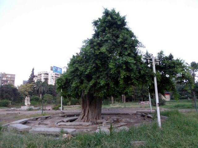 El-Montaza, Heliopolis, Cairo Governorate, Egypt by Michel Hanna