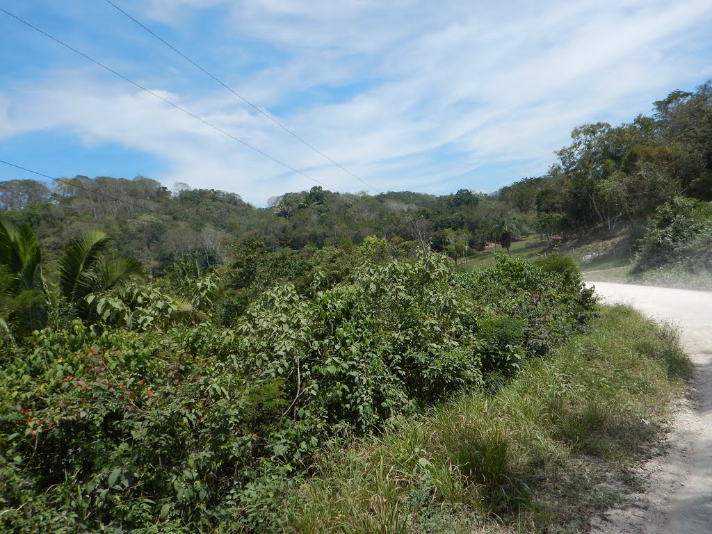 Unnamed Road, Cristo Rey, Belize by nev stone