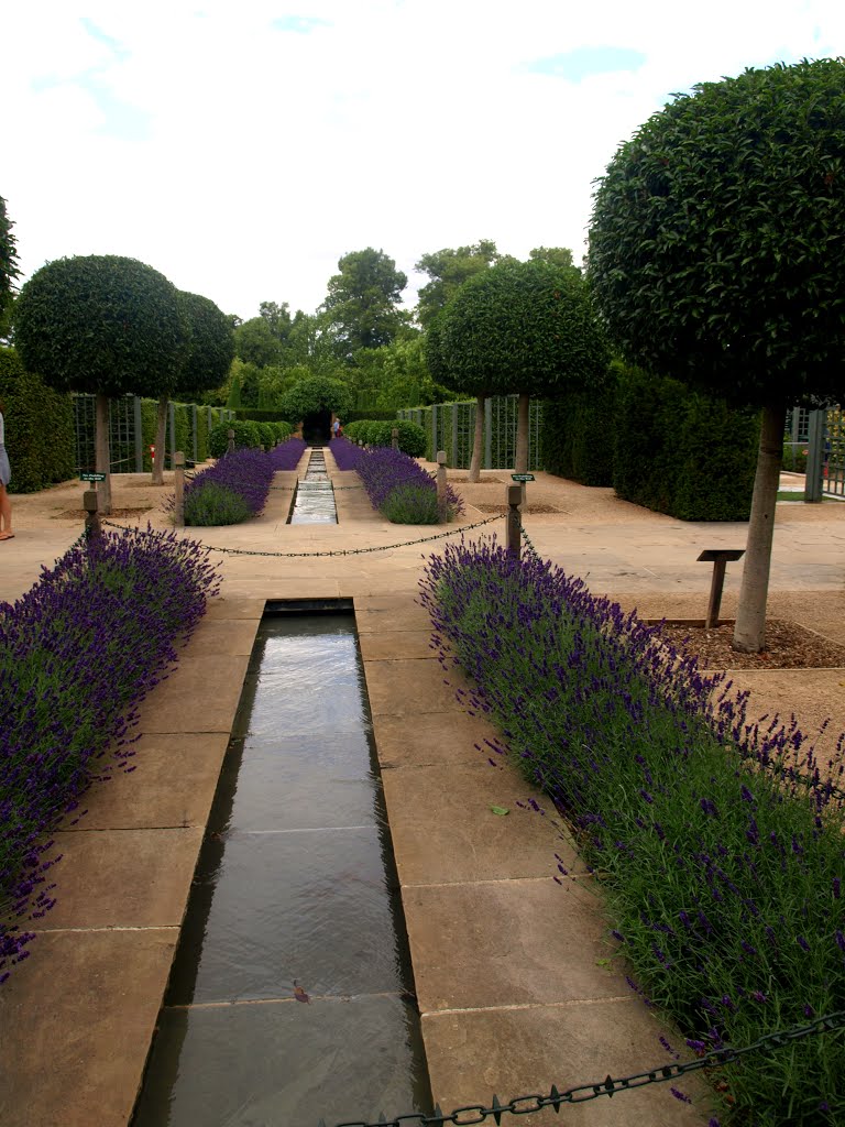 Burghley House, Lincs., UK: the water garden by Andrew-k