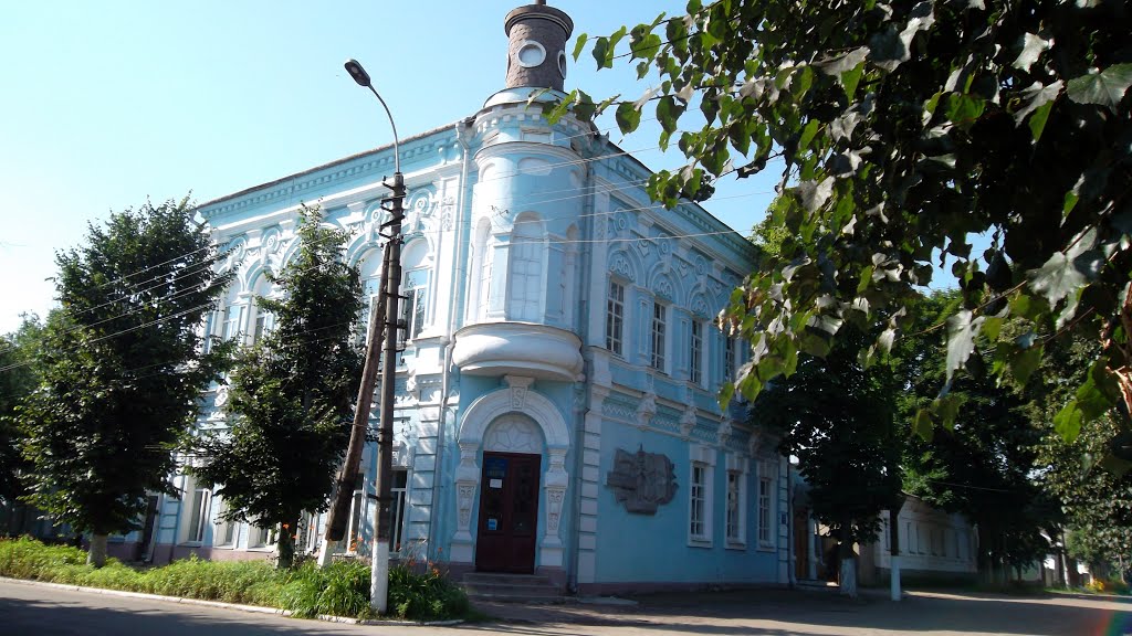 The Town Library / Центральний вхід до міської дитячої бібліотеки by Rheltic