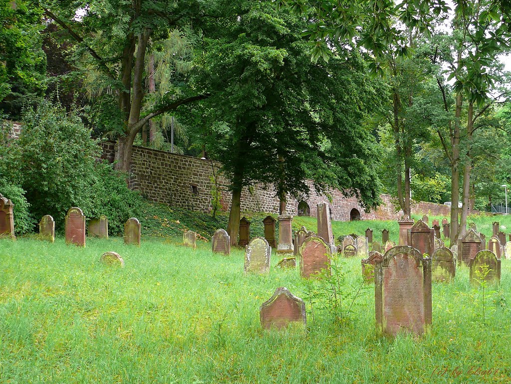 Jüdischer Friedhof, Miltenberg by Elsa61