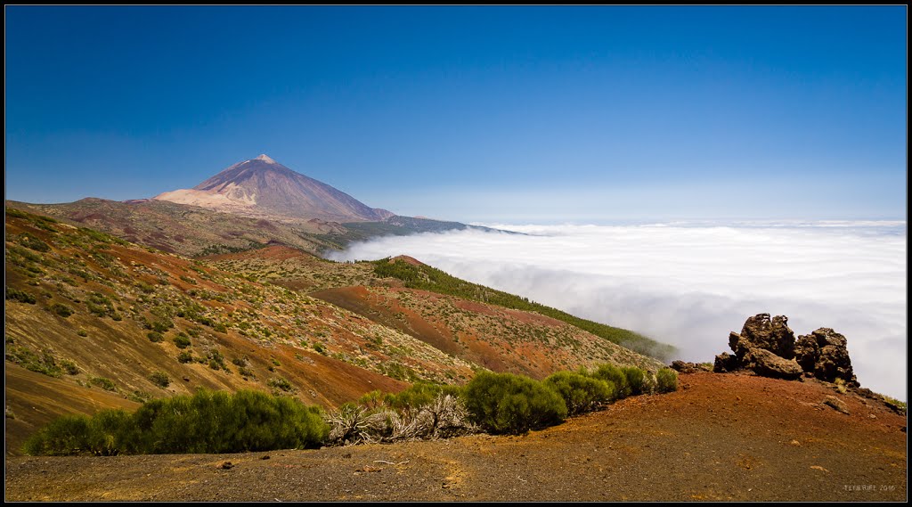 La Orotava, Santa Cruz de Tenerife, Spain by Radek Skuhra